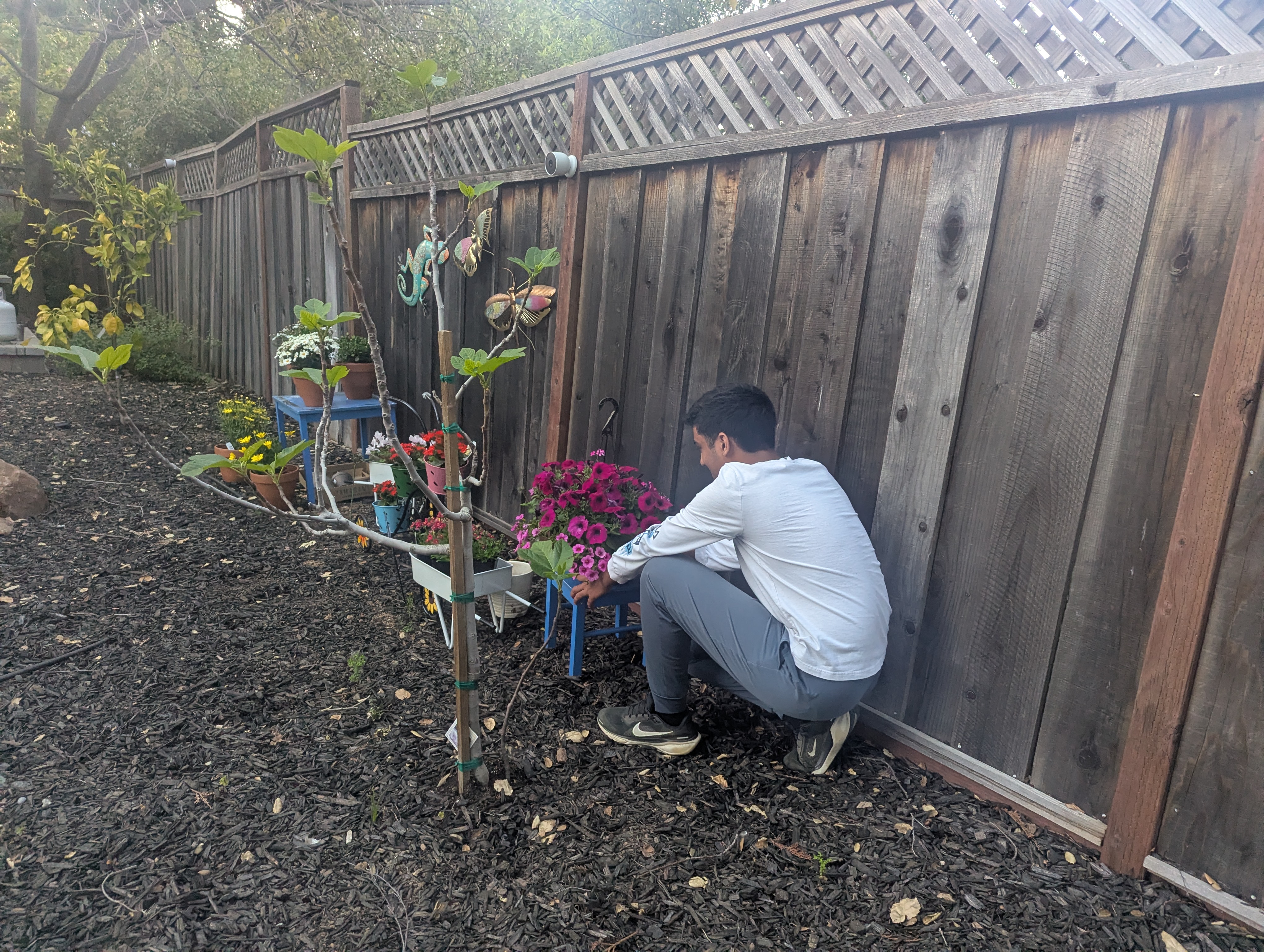 BuddyBridge pilot photo